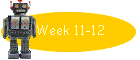 Week 11-12
