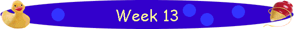 Week 13