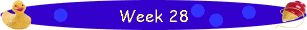 Week 28