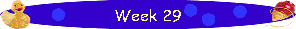 Week 29