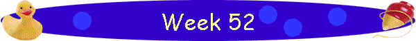 Week 52