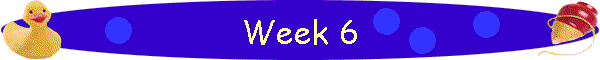Week 6