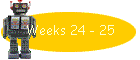 Weeks 24 - 25