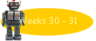 Weeks 30 - 31