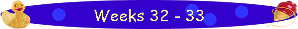 Weeks 32 - 33