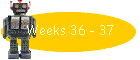 Weeks 36 - 37