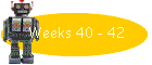 Weeks 40 - 42