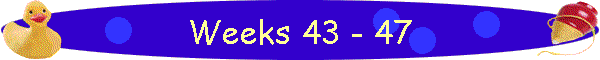 Weeks 43 - 47