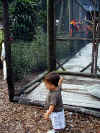 Bye bye zoo
