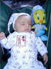 tweety bird