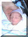 Little Angel