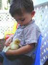 Let's try a duckie!