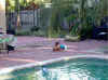 Wipe out!