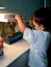 Nico feeds his fish - Dorothy, Bill, & Ben.