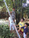 Climbing daddy's ladder. (Nice outfit!)