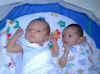The Boys
