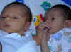 The Boys