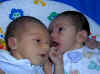 The Boys